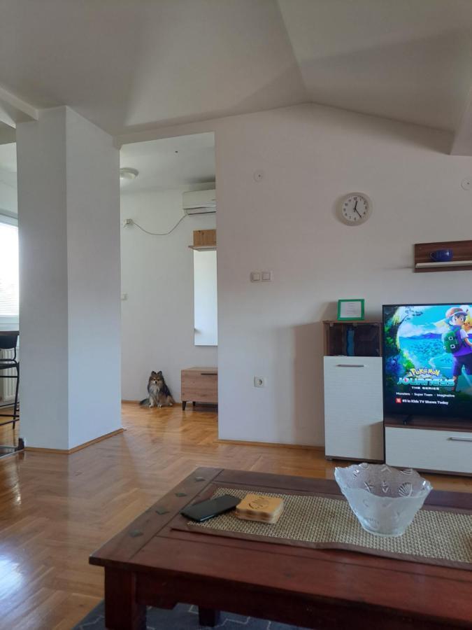 Apartman Zvezdica -Smederevo, Netflix Exterior photo
