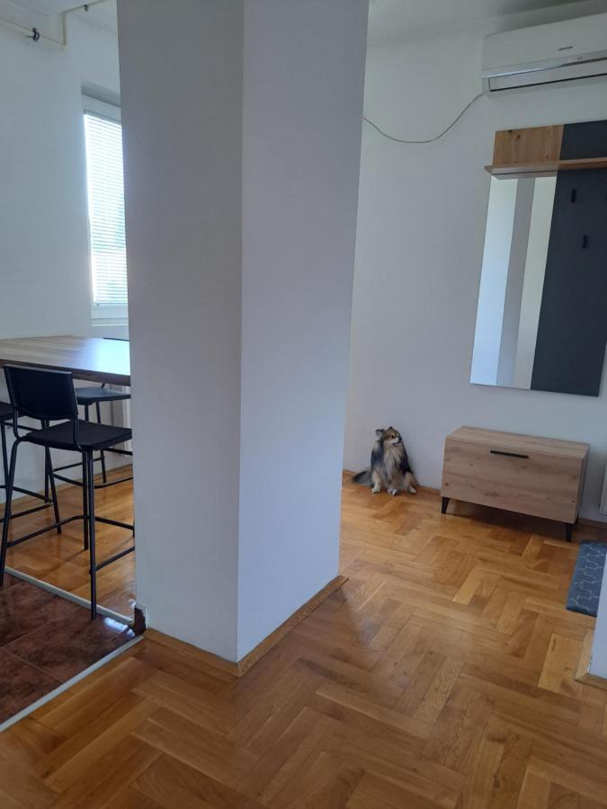 Apartman Zvezdica -Smederevo, Netflix Exterior photo